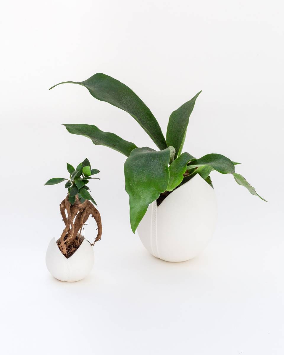 Tulipe Vase - Ylvaya Design