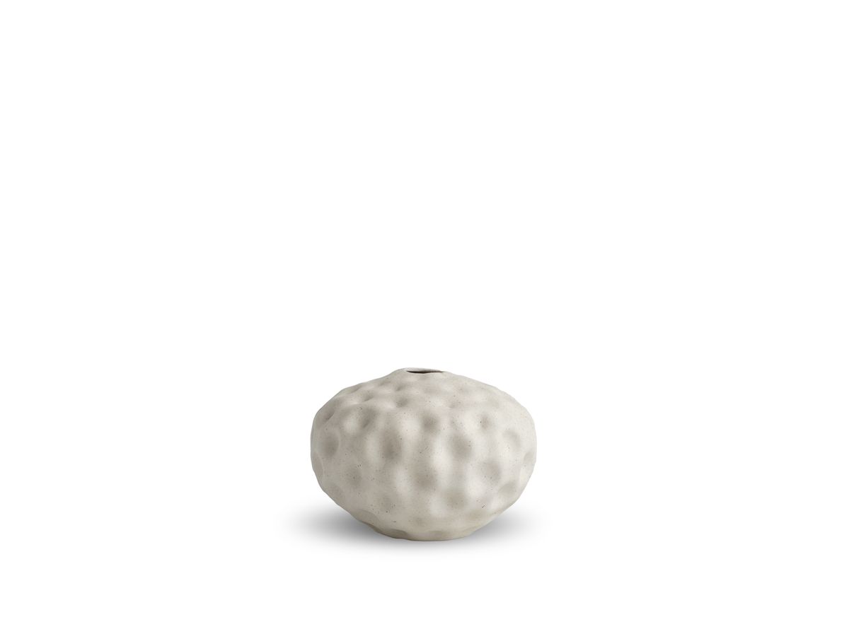 Seedpod Vanilla Small